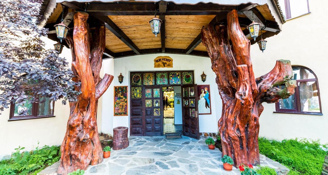 Castelul De Vis Petroşani Exterior foto